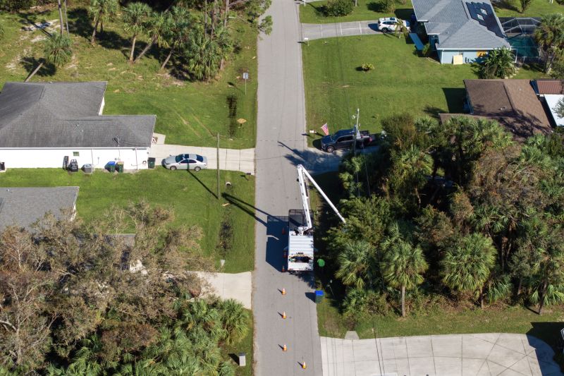 Treehouse Construction